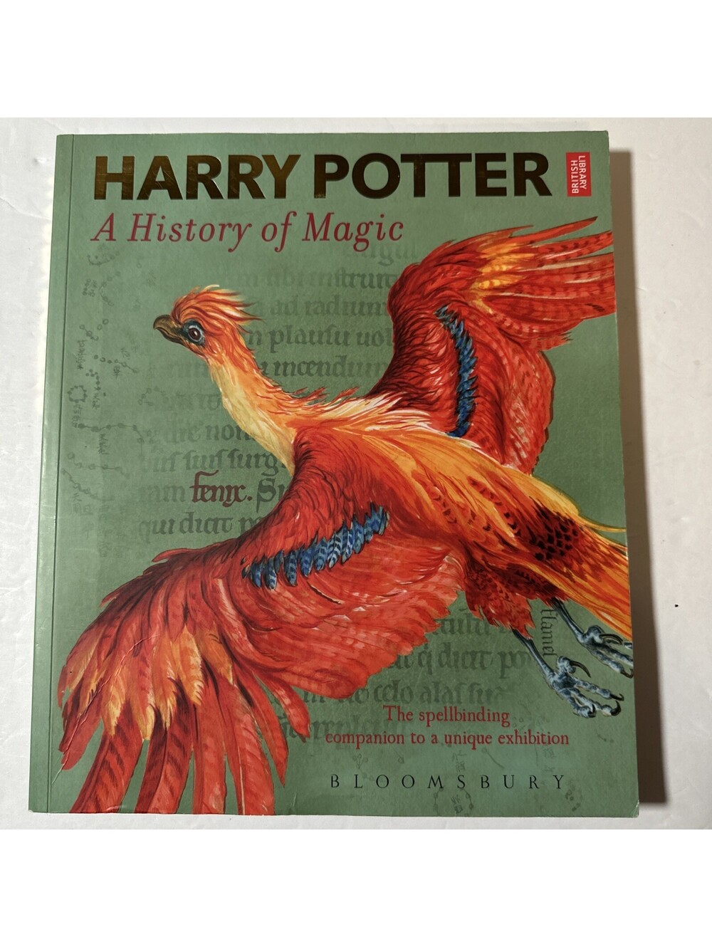 Harry Potter A History of Magic Softcover book